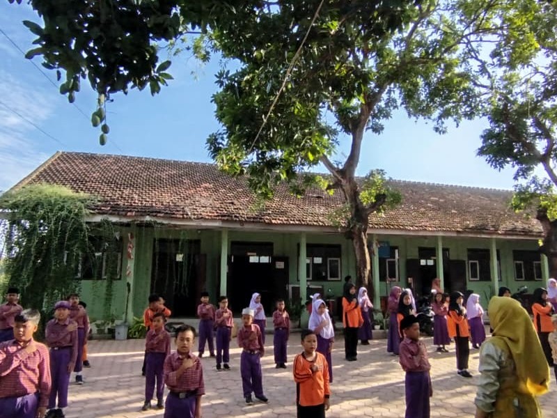 KAMIS SEHAT